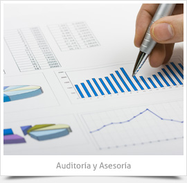 Auditor&iacute;a y Asesor&iacute;a