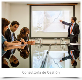 Consultor&iacute;a de Gesti&oacute;n